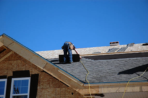Roof Gutter Cleaning in Duenweg, MO